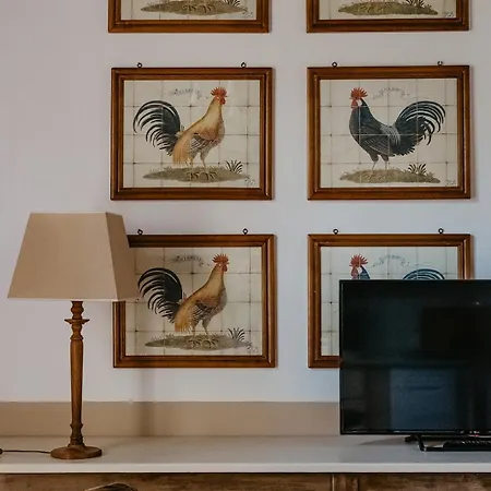 Apartment Ginestriccio *