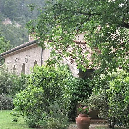 Ginestriccio
