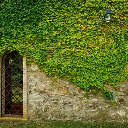 Ginestriccio Apartment *
